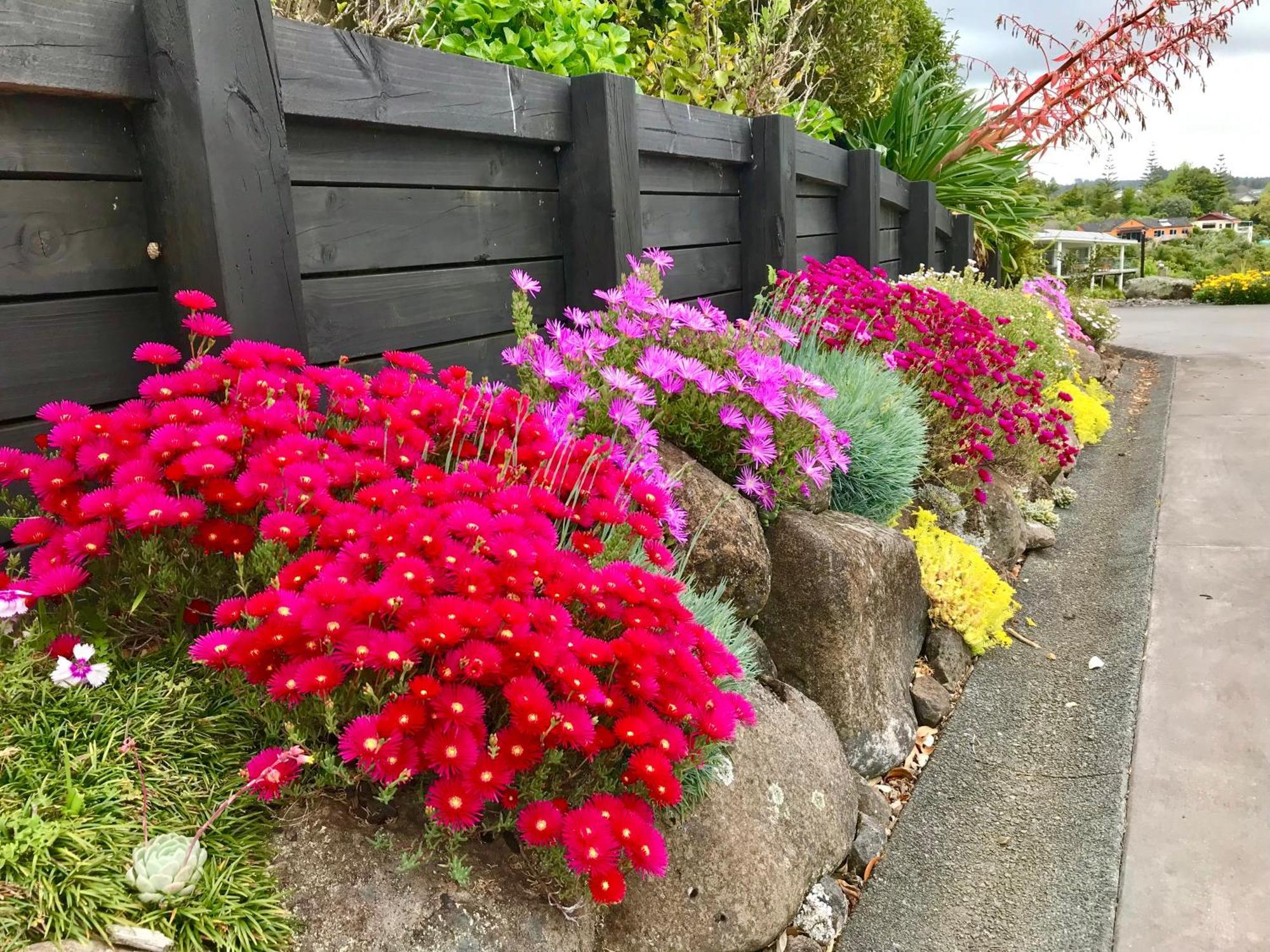 Sunset Point Kerikeri Apartment Exterior foto